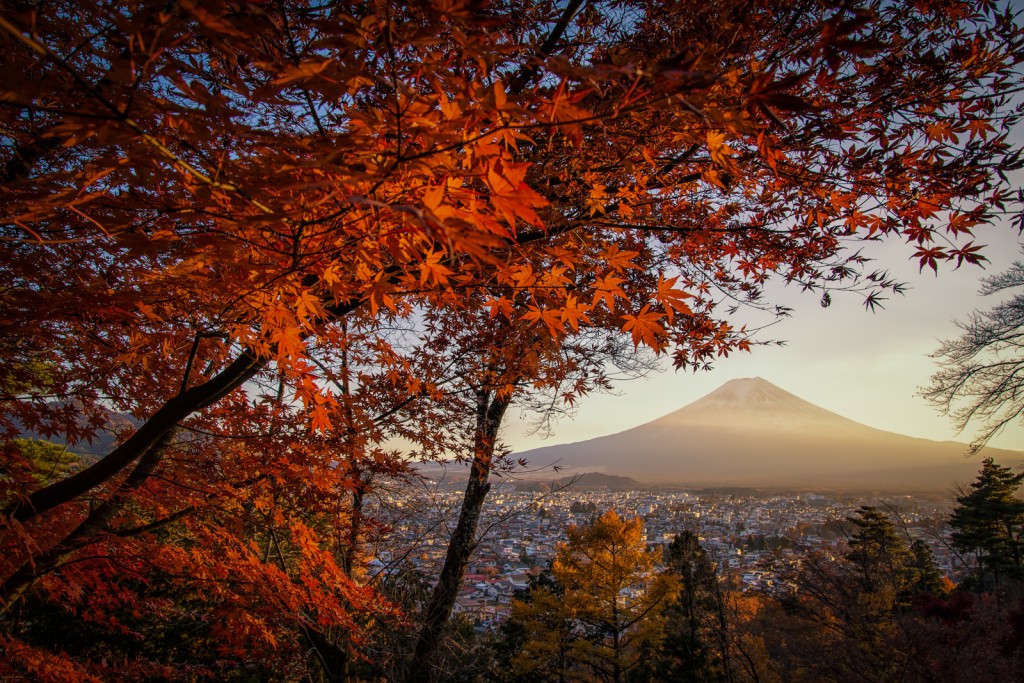 Yuga Kurita Mount Fuji Fujimikotoku Park Fujiyoshida_KS21248