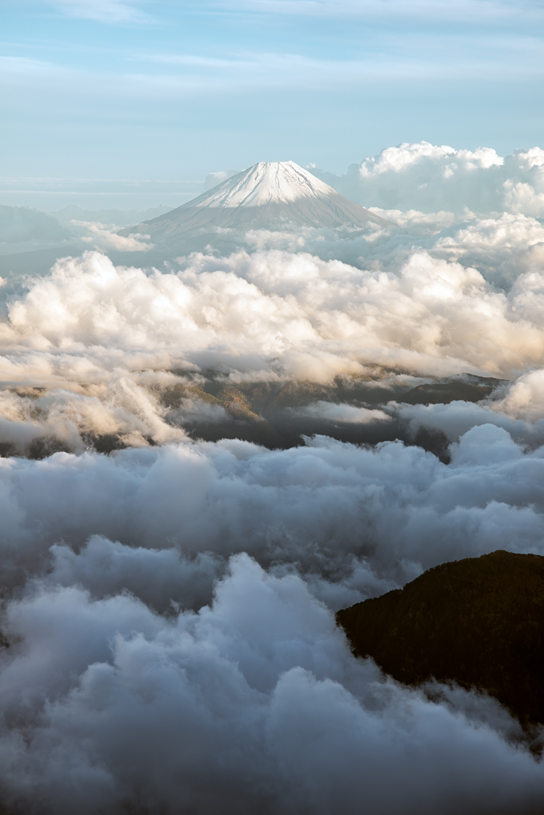 シグマ SIGMA Art 24-105mm F4 OS ニコンレンズ(ズーム)