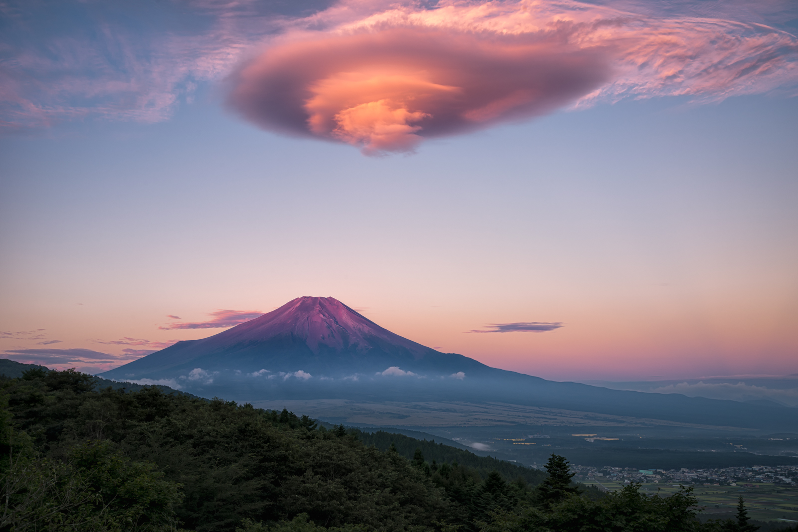 sigma 24 105mm f4 dg os hsm artレビュー