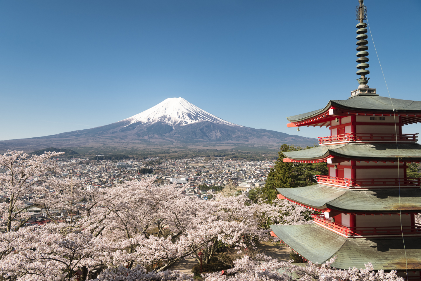 ⭐︎最高峰刺繍デザイン⭐︎ 花旅楽団 富士山 五重塔 日本 地図 松